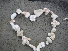 A Coral Heart Seen in Jeff and Sarah's Honeymoon in Hawaii